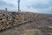 Lemne de foc fag 370ms transport și tva inclus în pret sebes alba tel 0743249536