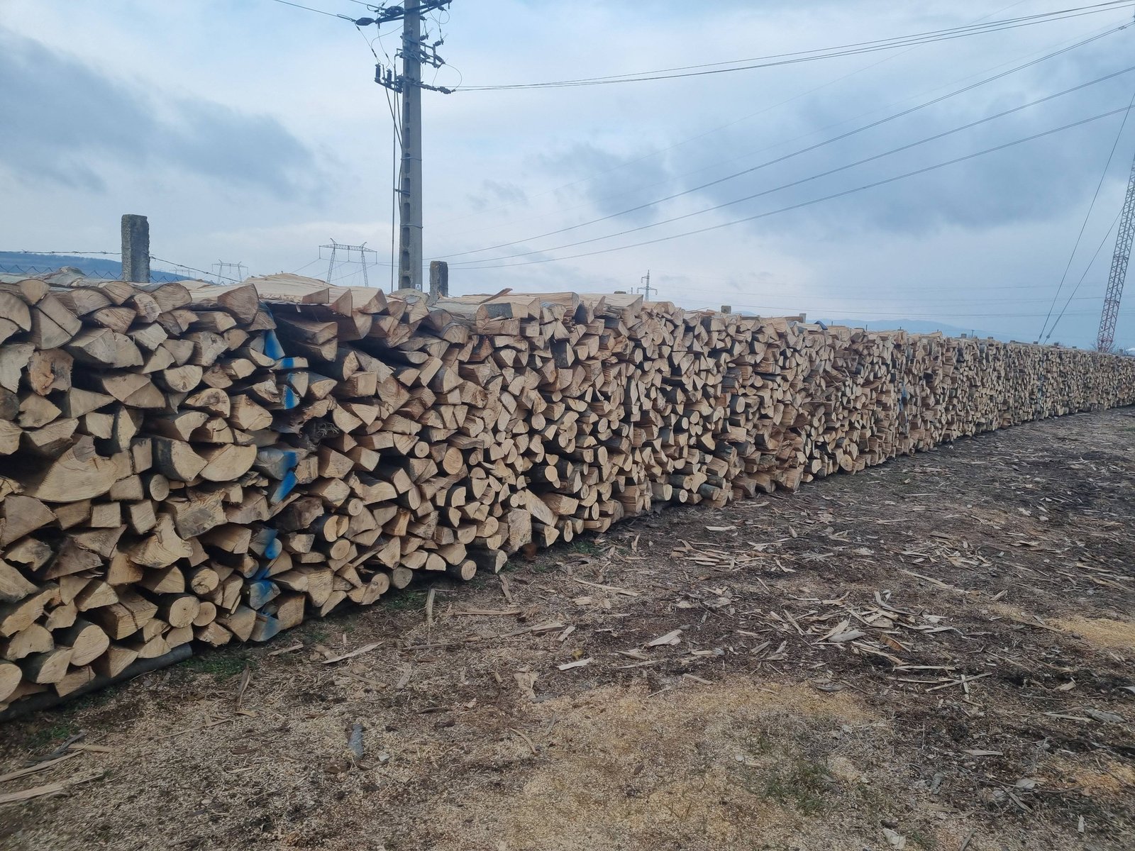 Lemne de foc fag 370ms transport și tva inclus în pret sebes alba tel 0743249536