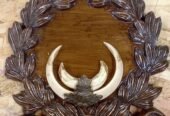 Panoplii pentru trofee de mistreț sculptate pe lemn masiv la cerere se pot personaliza