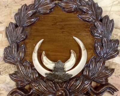 614082729_2147449032660018_3941750157837921114_n