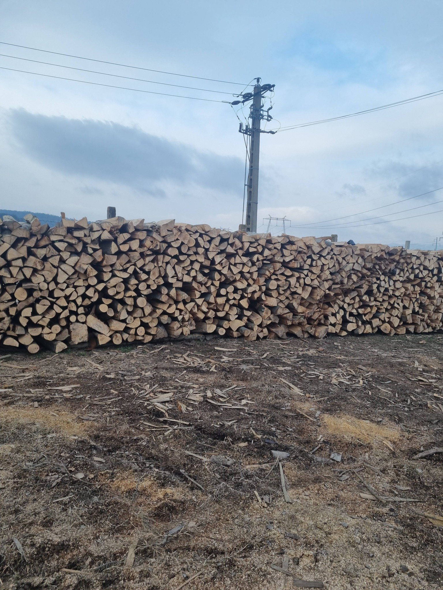 Lemne de foc fag 370ms transport și tva inclus în pret sebes alba tel 0743249536