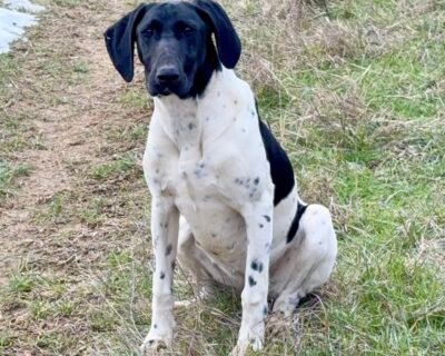 614163091_3538592229650298_223341647675980573_n