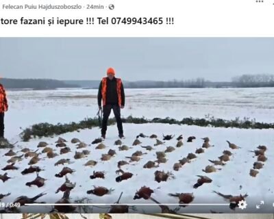 614235528_25670682179207385_7369537651035410482_n-1