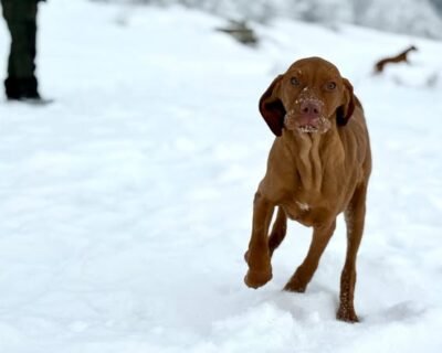 614782272_26129429003331701_864499119118080690_n