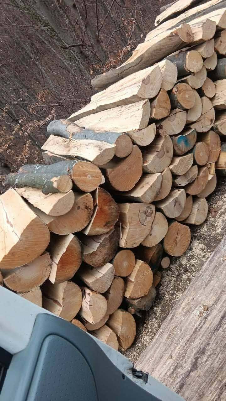 Transport lemne de fag esenta tare 320 lei metrul ster.