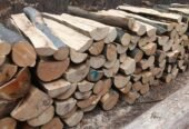 Transport lemne de fag esenta tare 320 lei metrul ster.