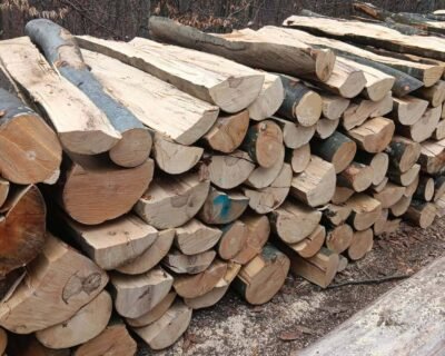 615151356_2323928734722685_1653552972067363043_n