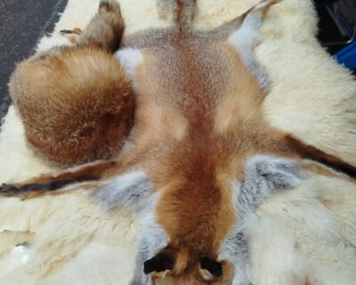 615159997_1932777984327697_1614232727474068753_n