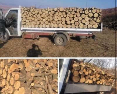 615267571_778064031976039_6212766424682467100_n