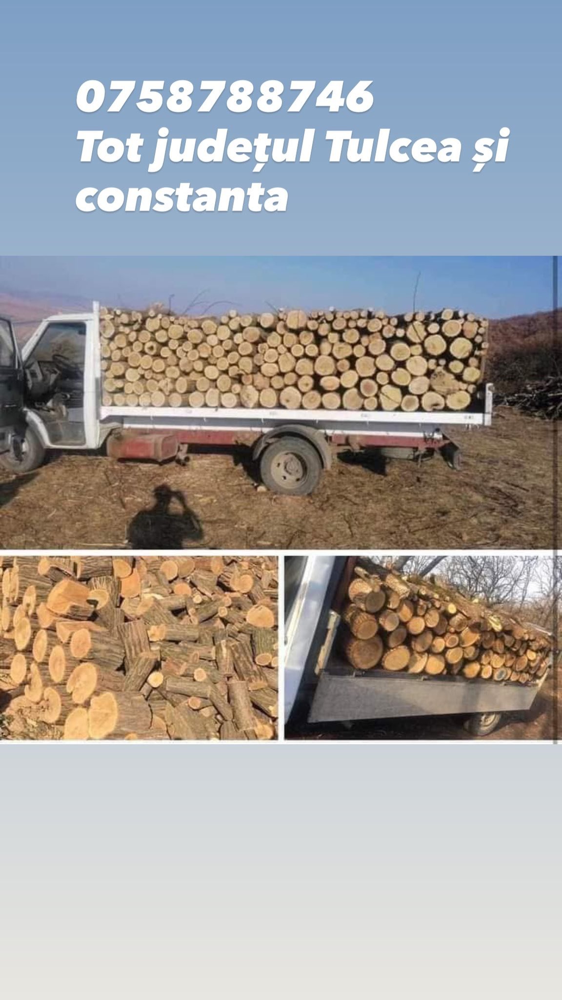 Lemn foc 07.58.788.746 TRANSPORT IN TOT JUDEȚUL TULCEA ȘI CONSTANTA