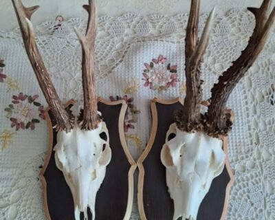 615316752_2147451455993109_5015008221699620583_n