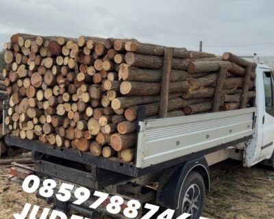 615344052_778064101976032_7161987080924011215_n-1