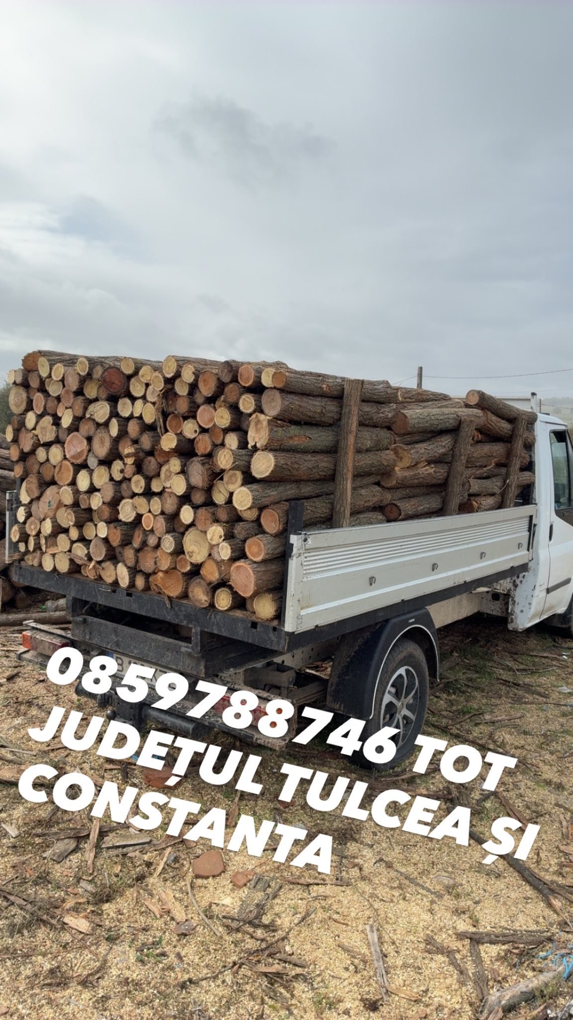 Lemn foc 07.58.788.746 TRANSPORT IN TOT JUDEȚUL TULCEA ȘI CONSTANTA