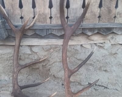 615400604_1437044697783450_5689318603420020449_n