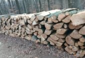 Transport lemne de fag esenta tare 320 lei metrul ster.