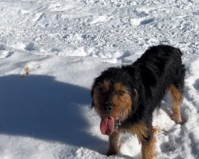 615438427_1225597469757605_8028238256301324983_n