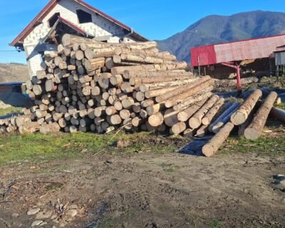 615439658_3951042315029556_7231872713135461296_n