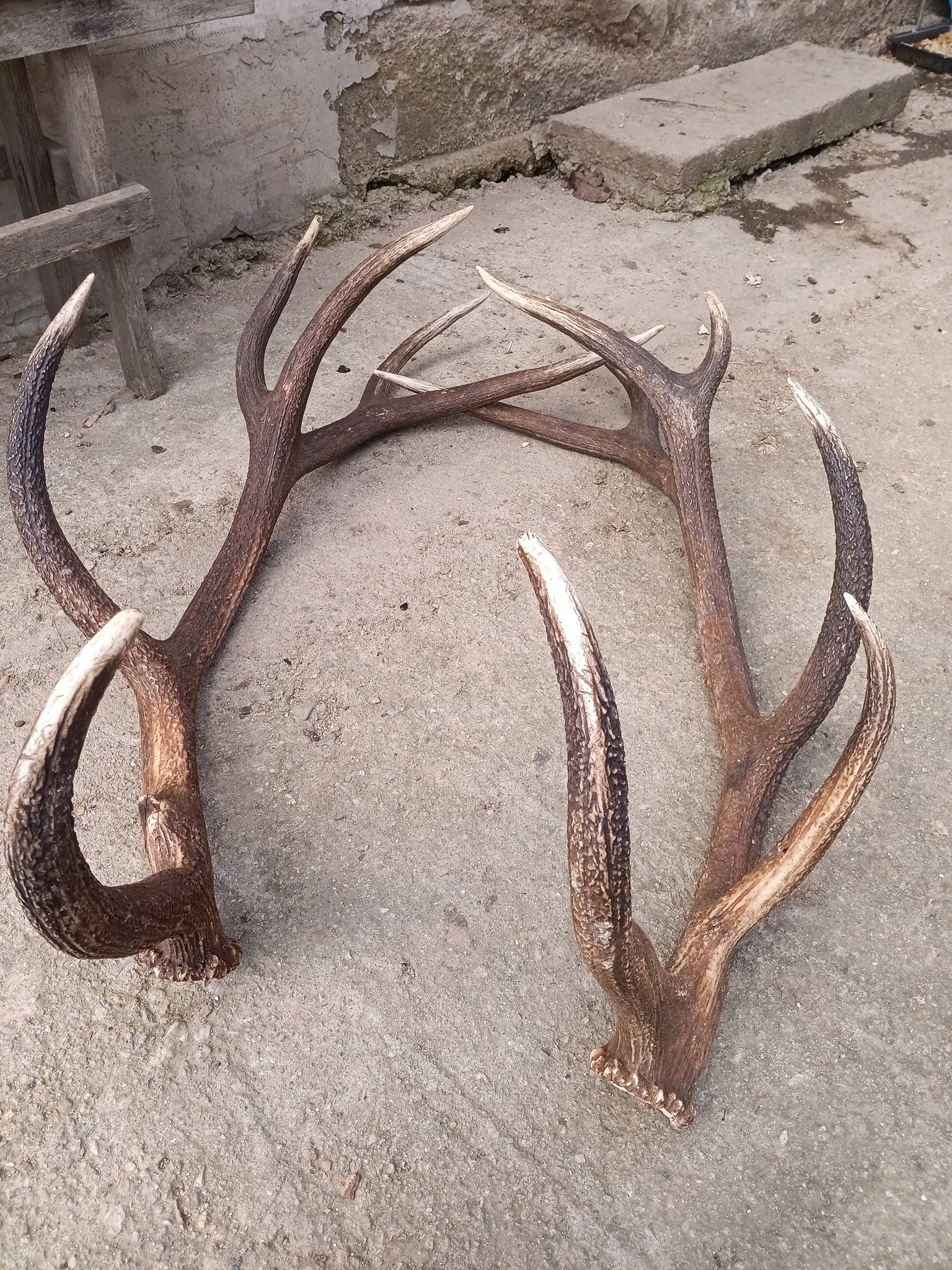 De vanzare detalii la nr 0725833790