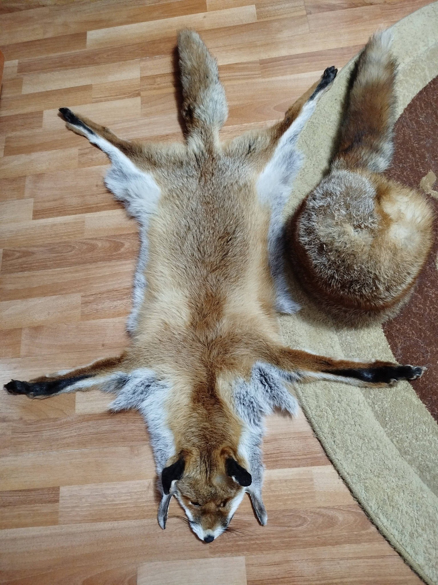 Argăsesc piei de animale 0727 845 826 !