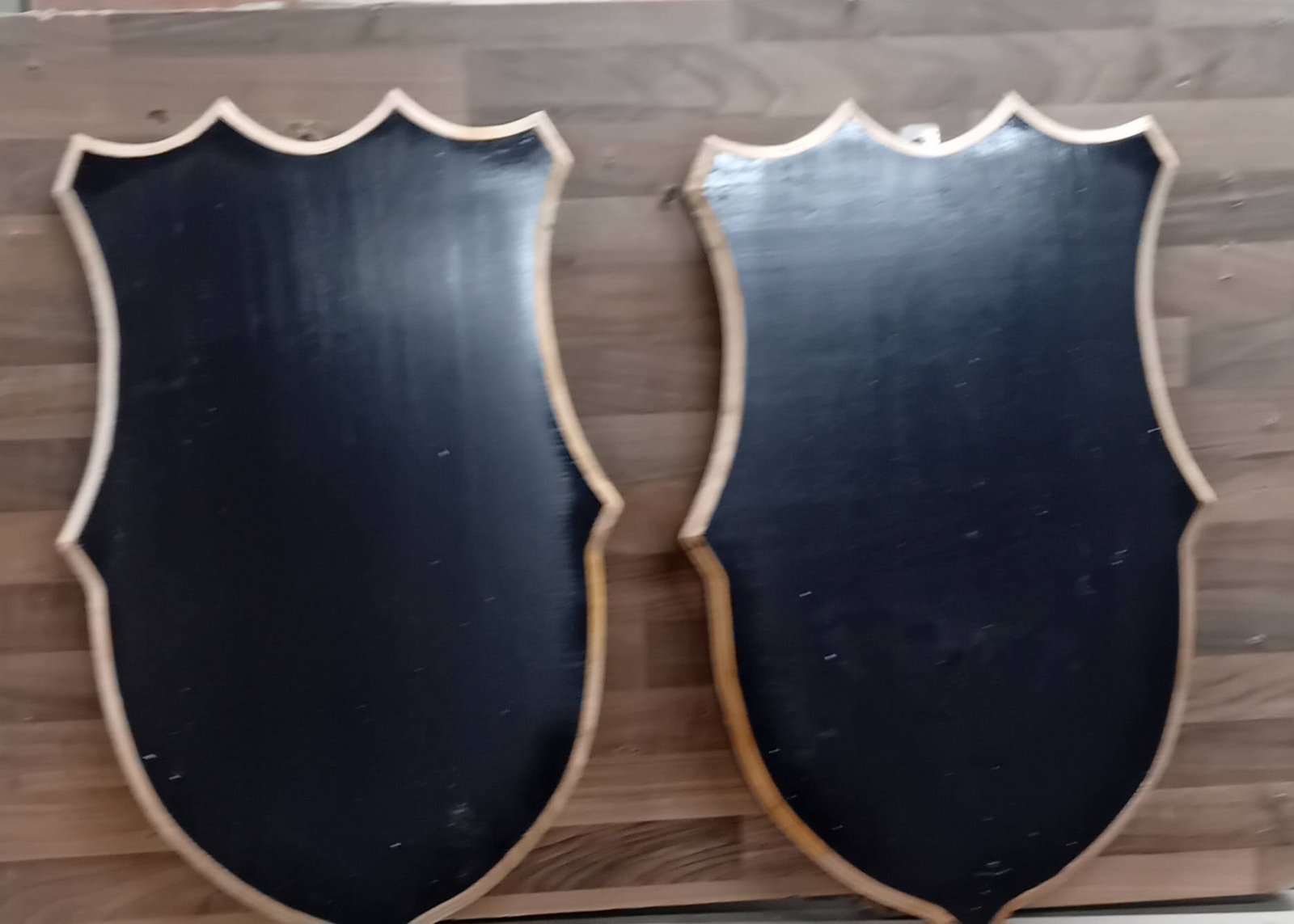 Panoplii simple pentru trofee de căprior, mistreț, cerb carpatin și lopatar