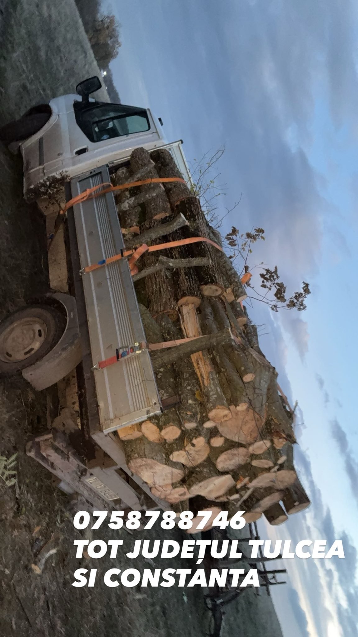 Lemn foc 07.58.788.746 TRANSPORT IN TOT JUDEȚUL TULCEA ȘI CONSTANTA