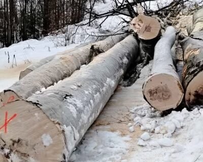 615538989_1645285889980856_5013053877455587517_n