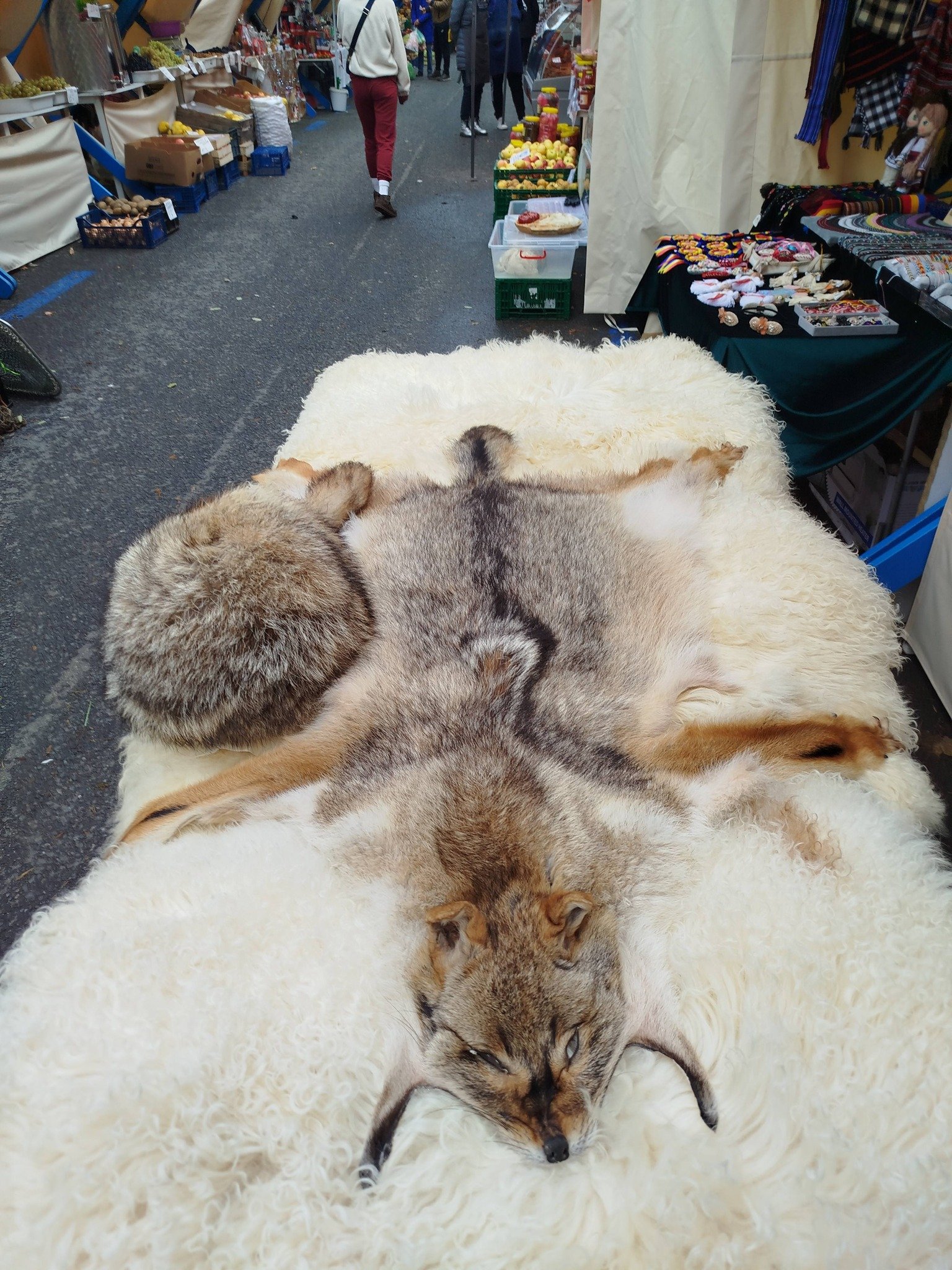 Argăsesc piei de animale 0727 845 826 !