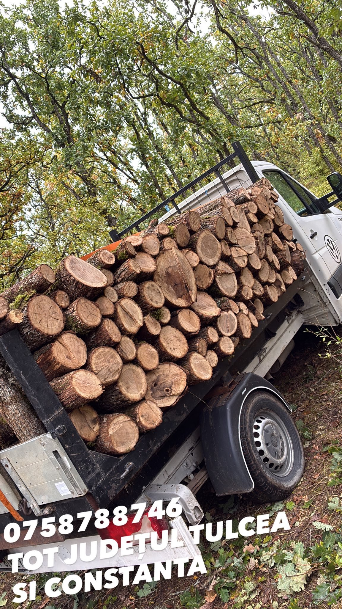 Lemn foc 07.58.788.746 TRANSPORT IN TOT JUDEȚUL TULCEA ȘI CONSTANTA