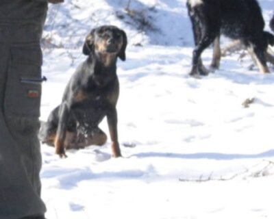 615806099_25320480024290946_3811211108747436752_n