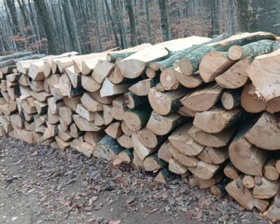 615809214_2327893130992912_7078553719828969076_n