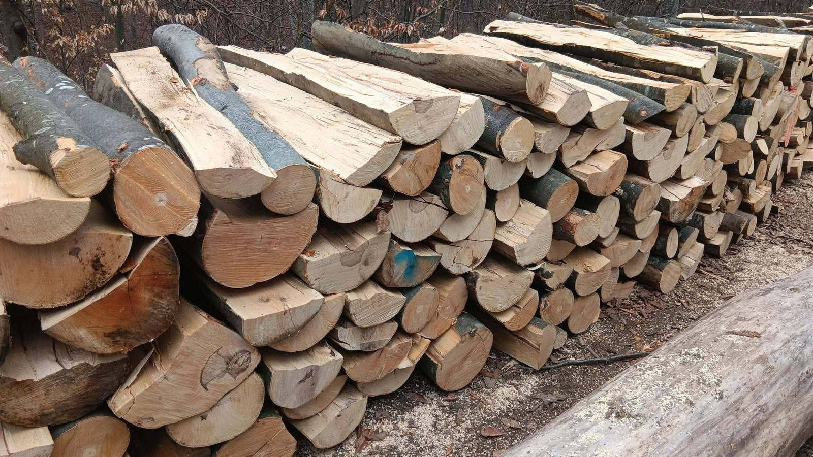 Transport lemne de fag esenta tare 320 lei metrul ster