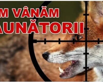 615860320_3051948505001929_1308908579702272718_n-1