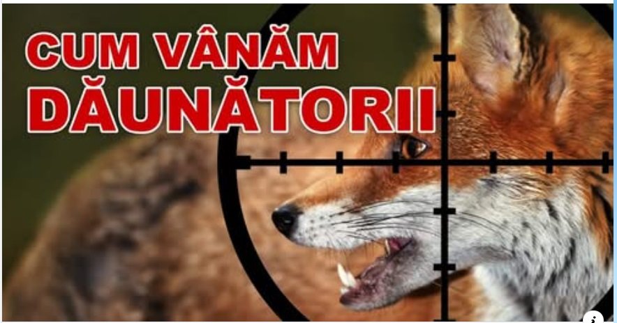 Domeniul vânătorii de combatere a speciilor dăunătoare are și el ”secretele” lui.