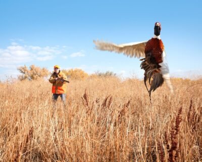 615860320_3051948505001929_1308908579702272718_n