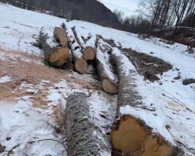 616035263_3729487270693645_4292764896336030349_n