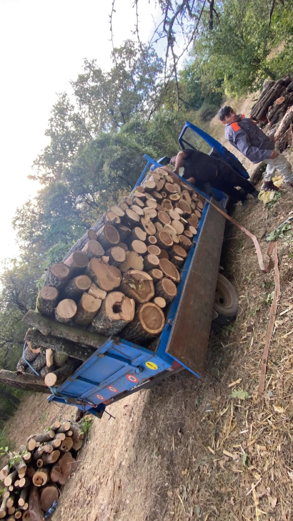 Lemn foc 07.58.788.746 TRANSPORT IN TOT JUDEȚUL TULCEA ȘI CONSTANTA