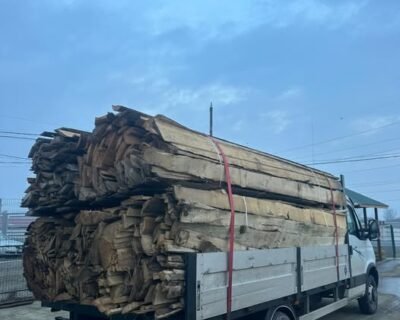 616135393_1847868053271419_4725741376703223985_n-3