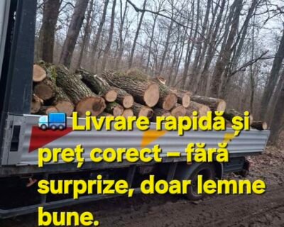 616387107_768973462899099_1446056778238990441_n