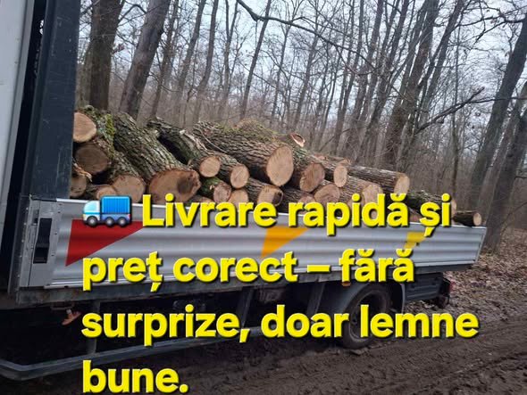 🔥 Nu lăsa frigul să te prindă! 🪵 Lemne bune • Cantitate exactă• Livrare rapidă 📞 069 740 599 | 067 744 770