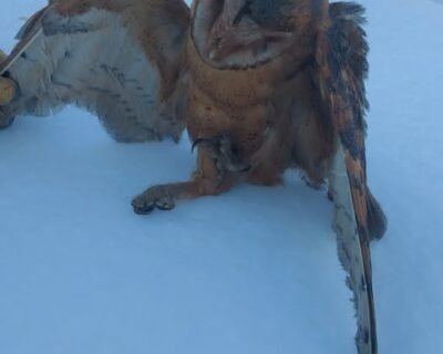 616809271_3977587555797056_4476271717276960812_n