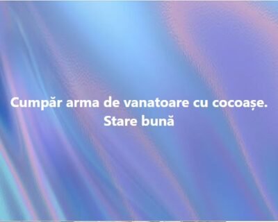 616814229_122270525174180832_9212802688177858993_n-1