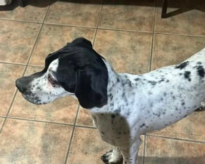 616820480_25676807995319445_3328457111874056585_n