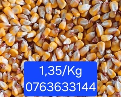 616848689_783946228069947_5408965434329383538_n