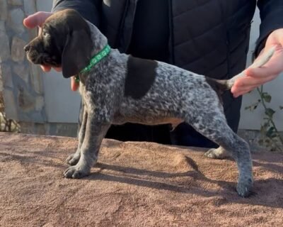 616987756_3478218089008170_8692583042338261908_n