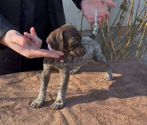 Disponibili pentru rezervare 0762325797