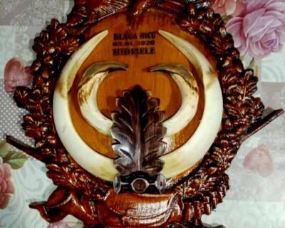 617141545_2157281561676765_3207448986318742989_n