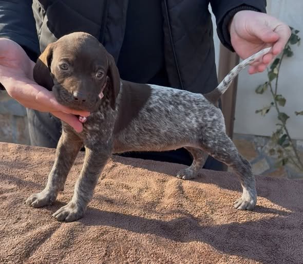 Disponibili pentru rezervare 0762325797