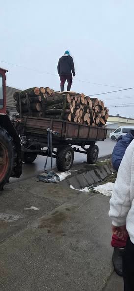 Lemne tăiate la metru salcie și plop!!