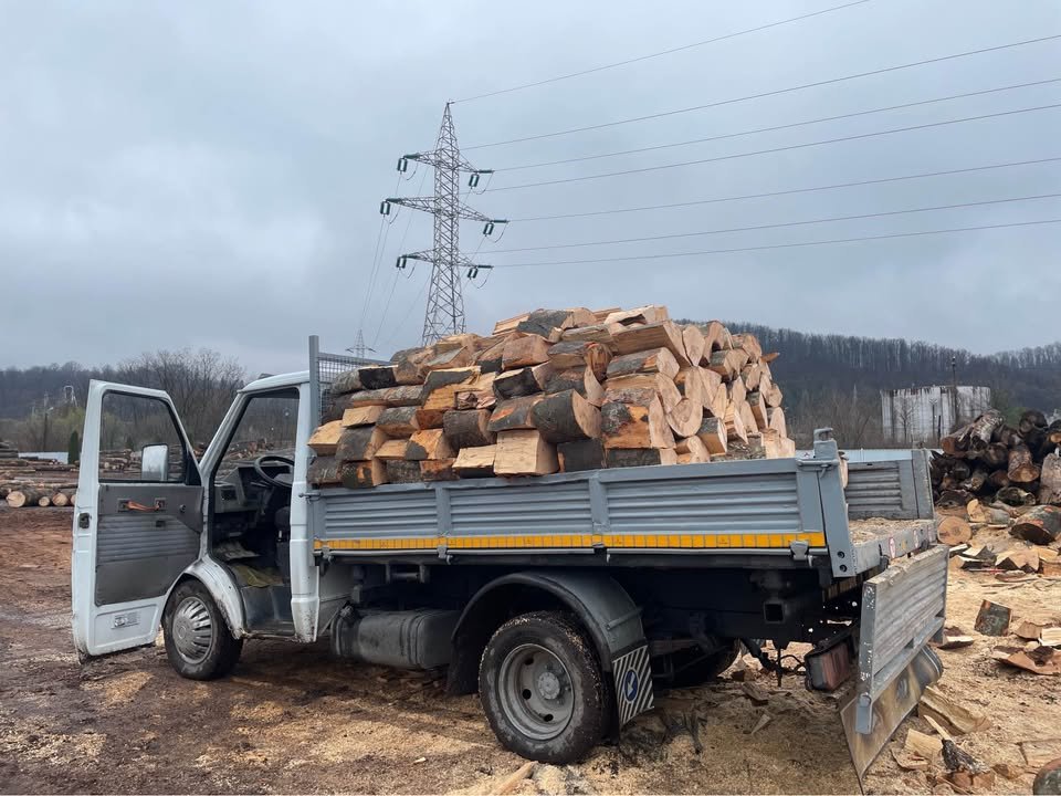 Vând lemne de foc – 450,00 lei