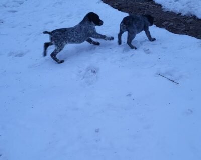 617583682_2352297381850930_3455681809609735283_n